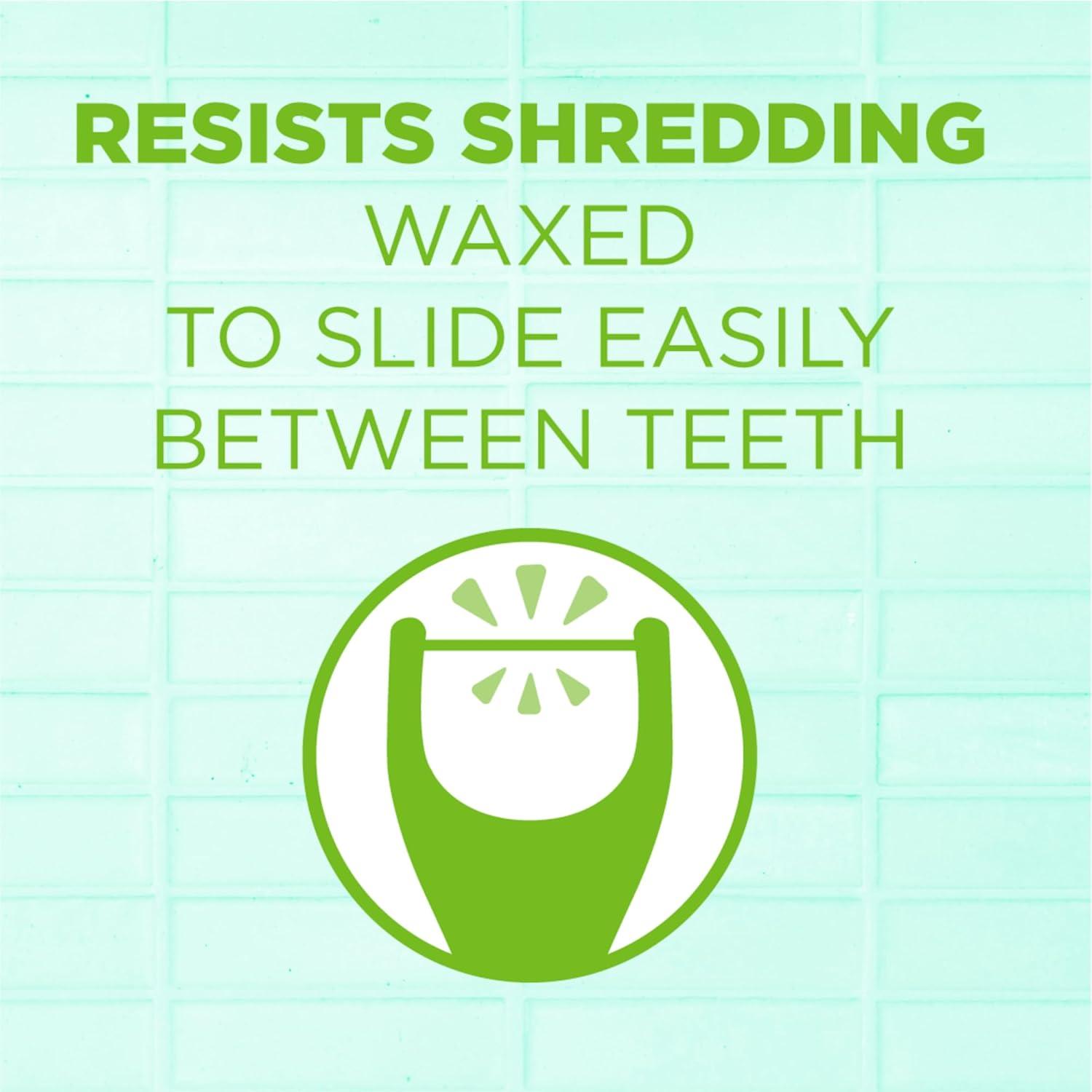 image:imageGUM Angled Floss Picks Perfect for Tight Teeth Extra Strong ShredResistant Dental Floss Angled for Easy Reach Dental Flossers for Adults Fresh Mint Flavor 75 Count75 Count