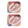 GUM – 760RB Dual Action Tongue Cleaner Brush and Scraper (Colors May Vary)(1 Count (Pack of 1))